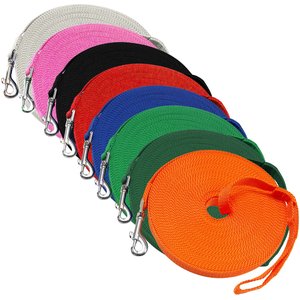 Downtown Pet Supply Training Dog Lead, Orange, 50-ft