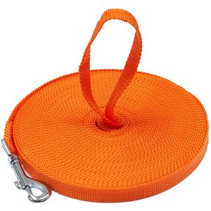 Downtown Pet Supply Training Dog Lead, Orange, 50-ft
