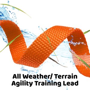 Downtown Pet Supply Training Dog Lead, Orange, 50-ft