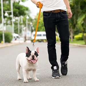 Downtown Pet Supply Training Dog Lead, Orange, 50-ft