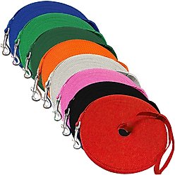 Downtown Pet Supply Training Dog Lead, Red, 50-ft