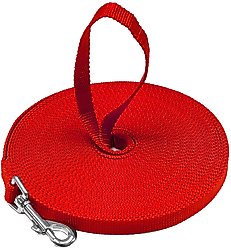 Downtown Pet Supply Training Dog Lead, Red, 50-ft slide 2 of 5