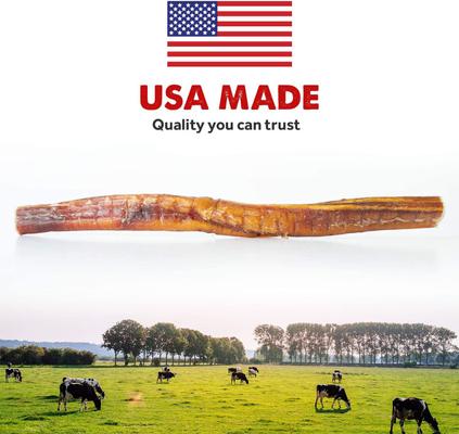 Show full view: Downtown Pet Supply USA Bully Sticks 12-in Jumbo Dog Treats, 3-lb bag slide 4 of 7