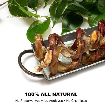 Show full view: Downtown Pet Supply USA Curly Bully Sticks 10-in Dog Treats, 5 count slide 5 of 7