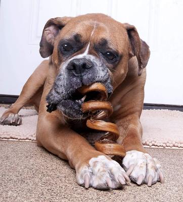 Show full view: Downtown Pet Supply USA Curly Bully Sticks 10-in Dog Treats, 5 count slide 6 of 7