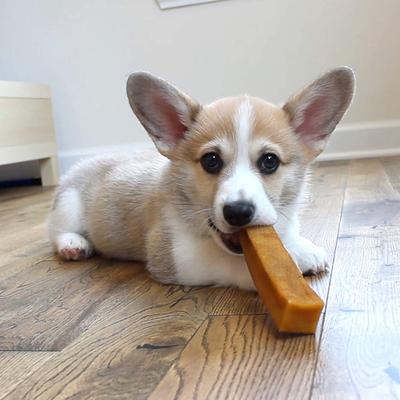 Show full view: Downtown Pet Supply Yak Chew Dog Treats, 1-lb bag slide 8 of 11