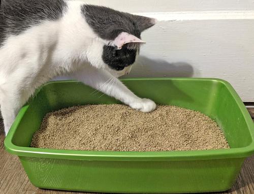 Show full view: Dr. Bales One Source Clumping Cat Litter, 4.4-lb bag slide 7 of 10