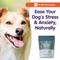 Show in main carousel: Dr. Bill's Pet Nutrition Canine Behavior Support Dog Supplement, 60 count slide 7 of 9