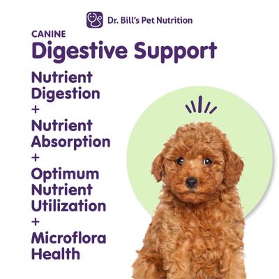 Show full view: Dr. Bill's Pet Nutrition Canine Digestive Support Probiotics & Digestive Enzymes Dog Supplement Powder, 180-gm pouch slide 3 of 11