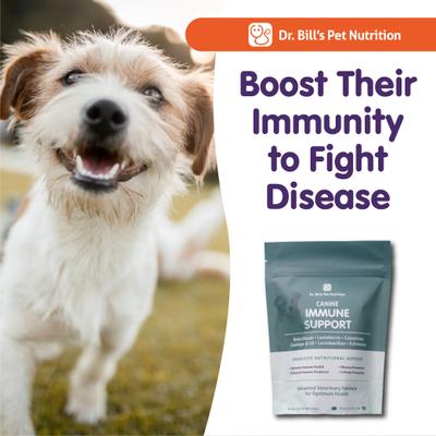 Show full view: Dr. Bill's Pet Nutrition Canine Immune Support Dog Supplement Powder, 180-gm pouch slide 8 of 12