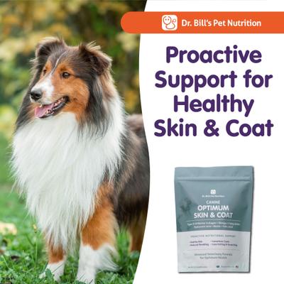 Show full view: Dr. Bill's Pet Nutrition Canine Optimum Skin & Coat Dog Supplement Powder, 680-gm pouch slide 8 of 10