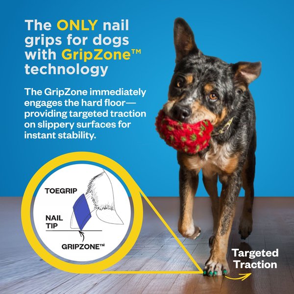 Show full view: Dr. Buzby's ToeGrips Dog Nail Grips, 20 count, Large slide 6 of 10