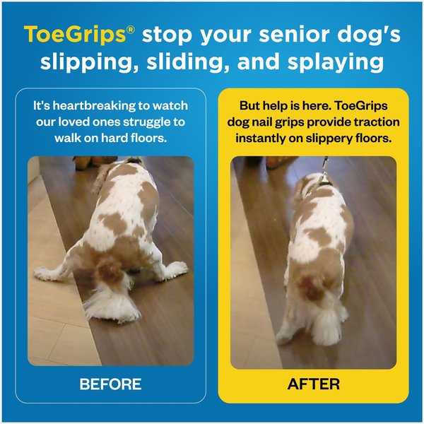 Dr. Buzby's ToeGrips Dog Nail Grips, 20 count