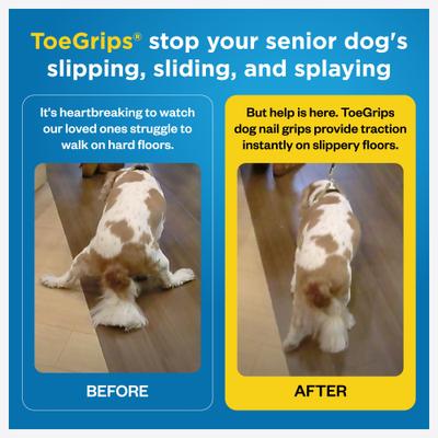 Show full view: Dr. Buzby's ToeGrips Dog Nail Grips, 20 count, XXX-Large slide 4 of 10