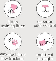 Dr. Elsey's Kitten Attract Clumping Clay Cat Litter, 20-lb bag slide 2 of 8