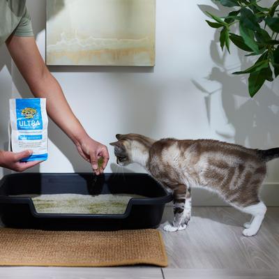 Show full view: Dr. Elsey's Precious Cat Ultra Litter Attractant, 20-oz slide 5 of 8
