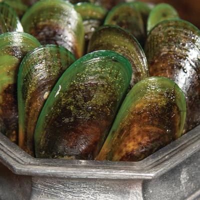 Show full view: Dr. Gary's Best Breed Chicken Recipe High-Protein Adult Raw Freeze-Dried Dog Food, 12-oz bag slide 8 of 10