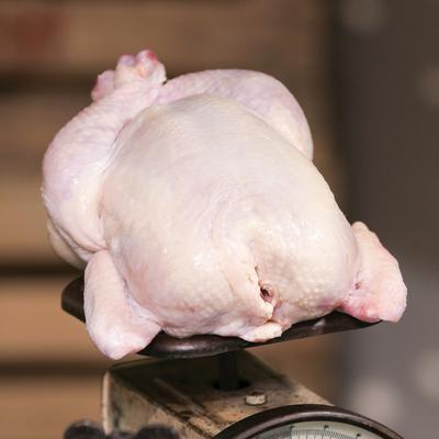 Show full view: Dr. Gary's Best Breed Chicken Recipe High-Protein Adult Raw Freeze-Dried Dog Food, 12-oz bag slide 7 of 10