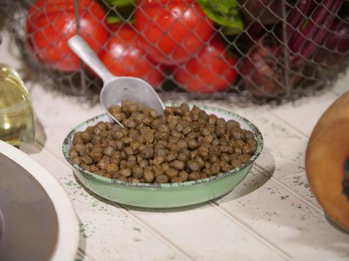 Show full view: Dr. Gary's Best Breed Coldwater Recipe Salmon & Whitefish Meals Dry Dog Food, 26-lb bag slide 4 of 7