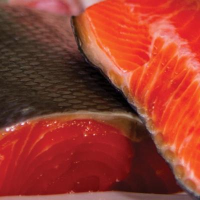 Show full view: Dr. Gary's Best Breed Fish Recipe High-Protein Adult Raw Freeze-Dried Dog Food, 24-oz bag slide 8 of 10