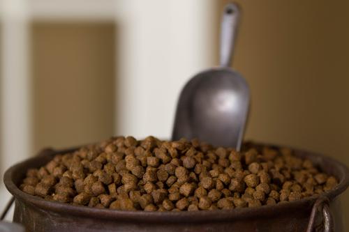 Show full view: Dr. Gary's Best Breed Grain-Free Red Meat Recipe Dry Dog Food, 26-lb bag slide 5 of 7