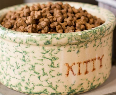 Show full view: Dr. Gary's Best Breed Holistic All Life Stages Dry Cat Food, 4-lb bag slide 5 of 8