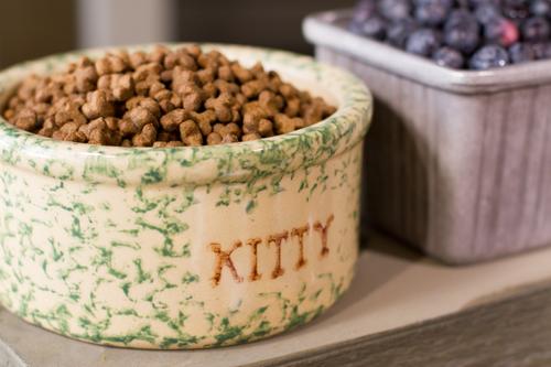 Show full view: Dr. Gary's Best Breed Holistic Grain-Free All Life Stages Dry Cat Food, 12-lb bag slide 5 of 6