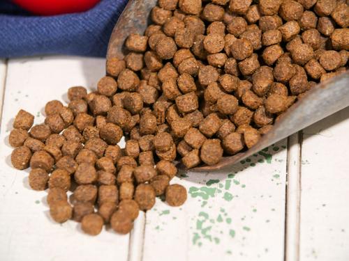 Show full view: Dr. Gary's Best Breed Holistic Grain-Free Ocean Salmon with Fruits & Vegetables Dry Dog Food, 13-lb bag slide 5 of 7