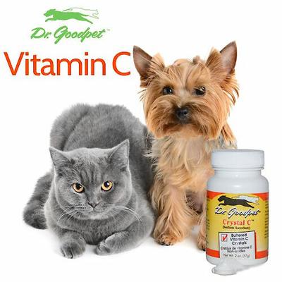 Show full view: Dr. Goodpet Crystal C Buffered Vitamin C Crystals Dog & Cat Supplement, 2-oz jar slide 4 of 4