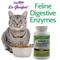 Show in main carousel: Dr. Goodpet Digestive Enzymes Cat Supplement, 4-oz bottle slide 5 of 5