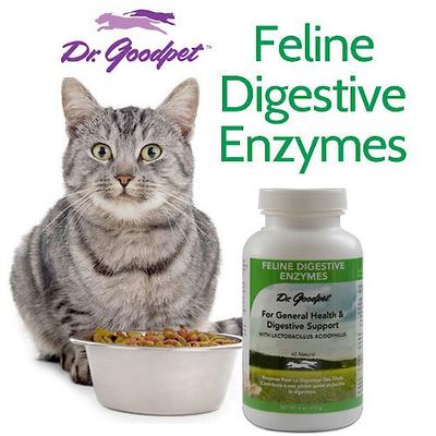 Show full view: Dr. Goodpet Digestive Enzymes Cat Supplement, 4-oz bottle slide 5 of 5