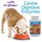 Show in main carousel: Dr. Goodpet Digestive Enzymes Dog Supplement, 7-oz bottle slide 5 of 5