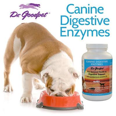 Show full view: Dr. Goodpet Digestive Enzymes Dog Supplement, 7-oz bottle slide 5 of 5