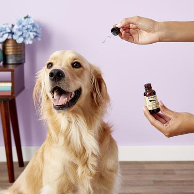 Show full view: Dr. Goodpet Eye-C Dog & Cat Eye Drops, 1-fl oz bottle slide 4 of 11