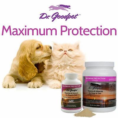 Show full view: Dr. Goodpet Maximum Protection Vitamins & Minerals Healthy Skin, Coat & Bones Dog & Cat Supplement, 8-oz jar slide 5 of 6
