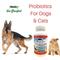 Show in main carousel: Dr. Goodpet Prebiotics & Probiotics Health & Digestive Support Dog & Cat Supplement, 4-oz jar slide 5 of 5