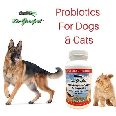Show full view: Dr. Goodpet Prebiotics & Probiotics Health & Digestive Support Dog & Cat Supplement, 4-oz jar slide 5 of 5
