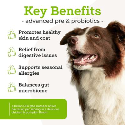 Show full view: Dr. Joseph's VetPro Complete Advanced Powdered Pre & Probiotics Powder Digsestive Supplement for Dogs, 6.3-oz jar slide 3 of 9