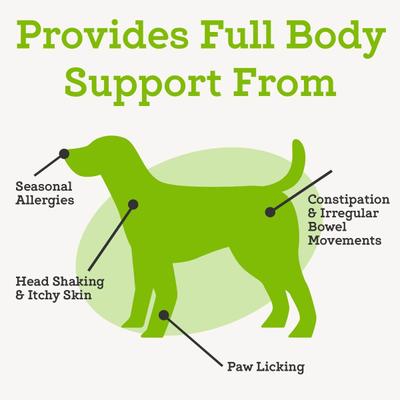 Show full view: Dr. Joseph's VetPro Complete Advanced Powdered Pre & Probiotics Powder Digsestive Supplement for Dogs, 6.3-oz jar slide 4 of 9