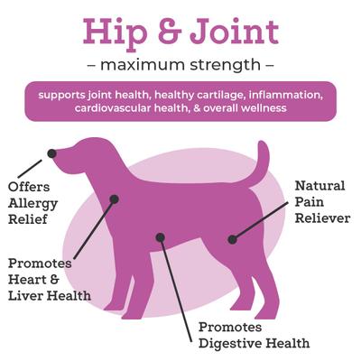 Show full view: Dr. Joseph's VetPro Complete Chicken Flavored Hip & Joint Soft Chew Supplement with Glucosamine for Dogs, 120 count slide 4 of 8