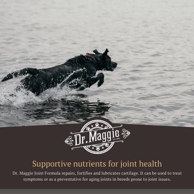 Show full view: Dr. Maggie by NaturPet Inc. Joint Formula Hip & Joint Natural Flavor Liquid Supplement for Cats & Dogs, 16-fl oz bottle slide 6 of 8