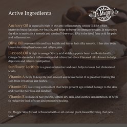 Dr. Maggie by NaturPet Inc. Skin & Coat Salmon Flavored Liquid Supplements for Cats & Dogs, 16-fl oz bottle slide 2 of 6