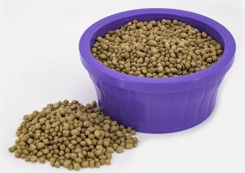 Show full view: Dr. Pol 16% Poultry Pearls Layer Chicken Feed, 6-lb bag slide 3 of 7