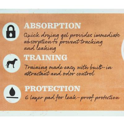 Show full view: Dr. Pol 22x22-in Dog Training Pad, 100 count slide 6 of 8