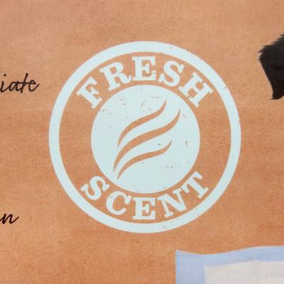 Show full view: Dr. Pol 22x22-in Dog Training Pad, 100 count slide 7 of 8