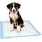 Show in main carousel: Dr. Pol 22x22-in Dog Training Pad, 100 count slide 8 of 8