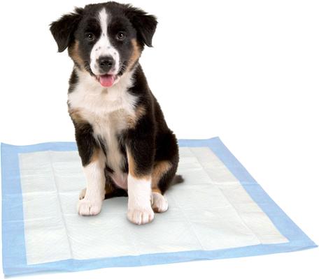 Show full view: Dr. Pol 22x22-in Dog Training Pad, 100 count slide 8 of 8