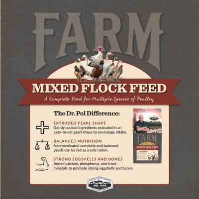 Show full view: Dr. Pol 28% Poultry Pearls Mixed Flock Feed, 30-lb bag slide 5 of 10