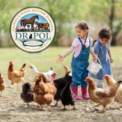 Show full view: Dr. Pol 28% Poultry Pearls Mixed Flock Feed, 30-lb bag slide 7 of 10