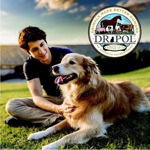 Dr. Pol Adult Limited Ingredient Surf-N-Turf Pate Canned Wet Dog Food, 12.5-oz can, case of 12